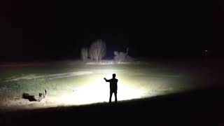 Flashlight King MS12 VS Brightest Flashlight MS18 - IMALENT®