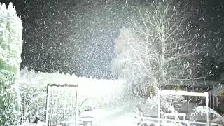 Review the wonderful video of MS08 - IMALENT®