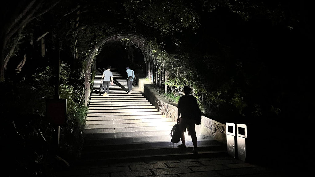 Night Trip With EDC Flashlights - IMALENT®