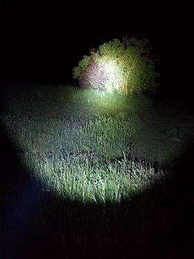 how to choose the best hunting flashlight - IMALENT®