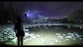 Imalent MS12 Mini The World Second Brightest Flashlight Test - IMALENT®