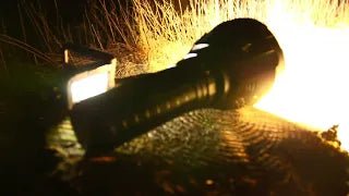 IMALENT MS18W 100000lumens beamshot at night in the forest - IMALENT®