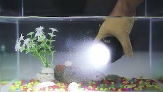 Best Flashlight IMALENT MS06 video - IMALENT®