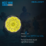 IMALENT MS12 MINI Powerful Flashlight - IMALENT®